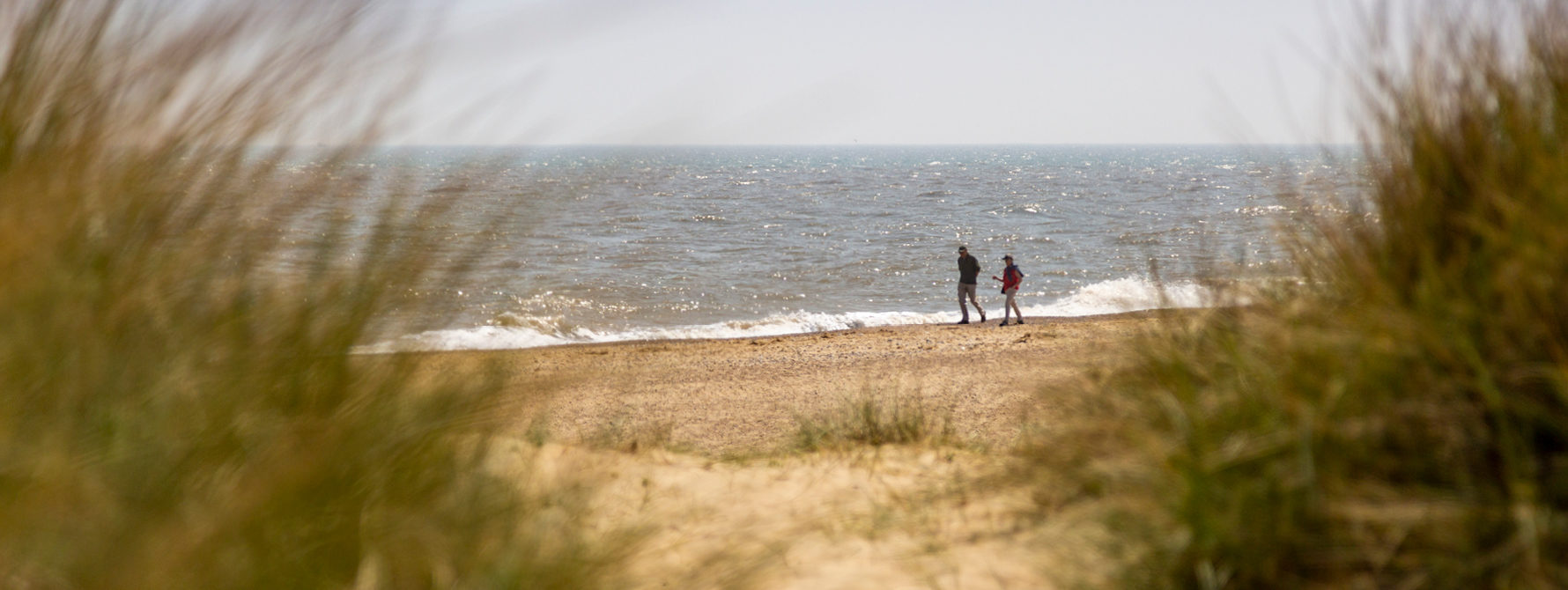 Take a walk on the beach or even a dip - The Crown Southwold